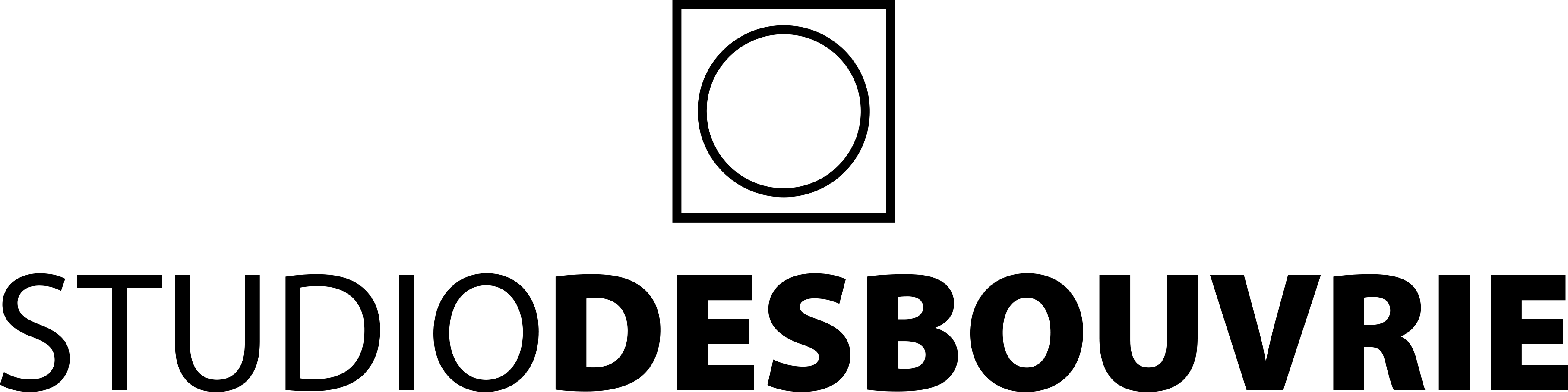 Studio Des Bouvrie logo zwart tekst